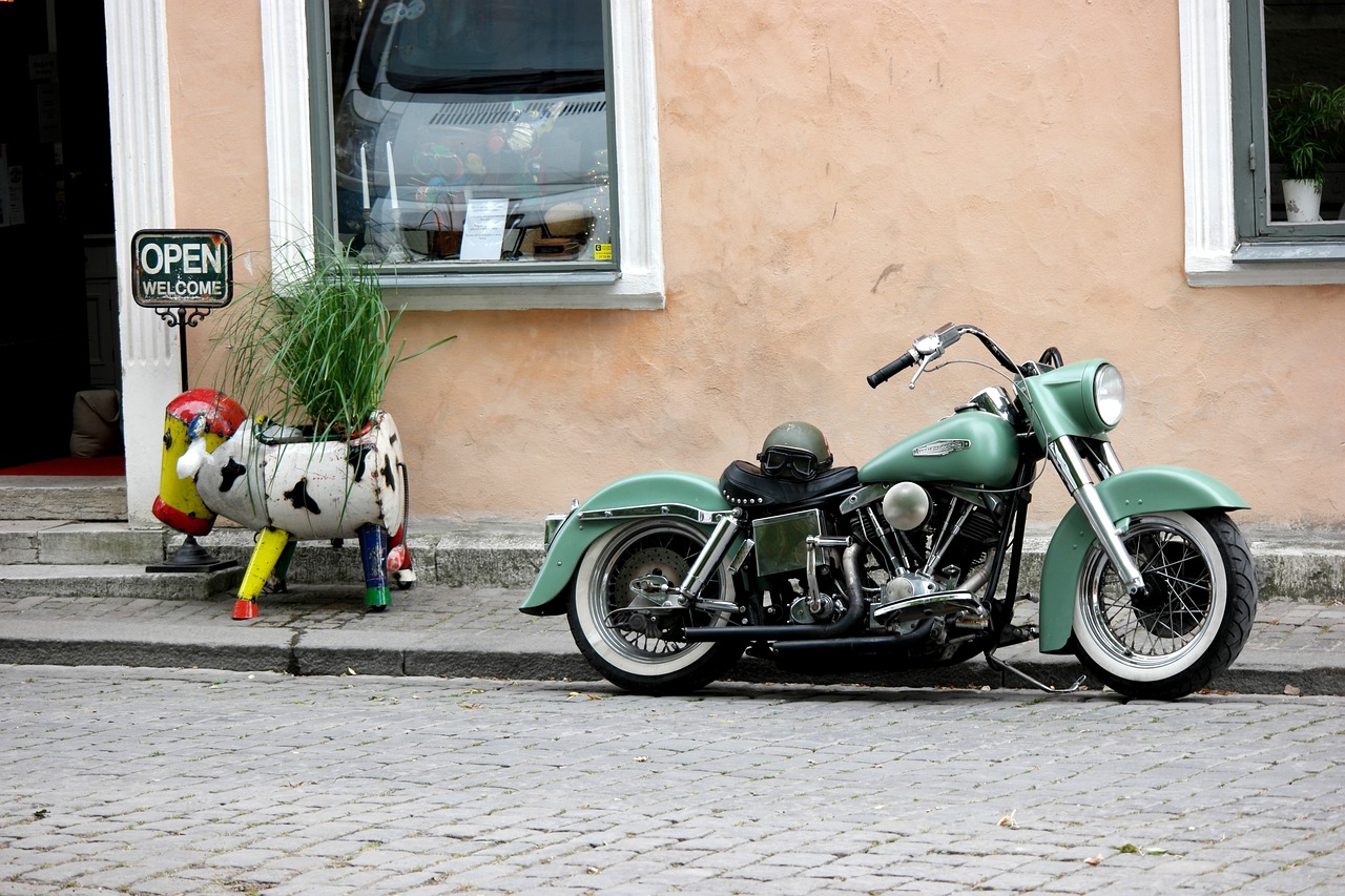 motorcycle, green, cow-3445893.jpg